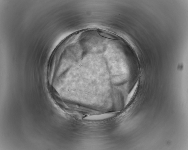 X0000090631048200708141430