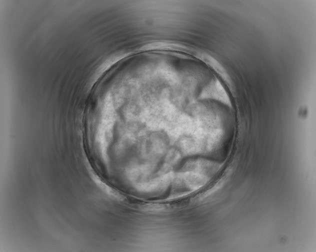 X0000090631049200708141430