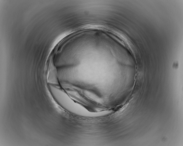 X0000090631050200708141430