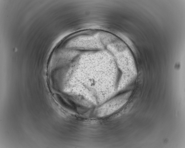 X0000090631051200708141430