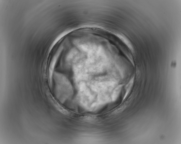 X0000090631052200708141430