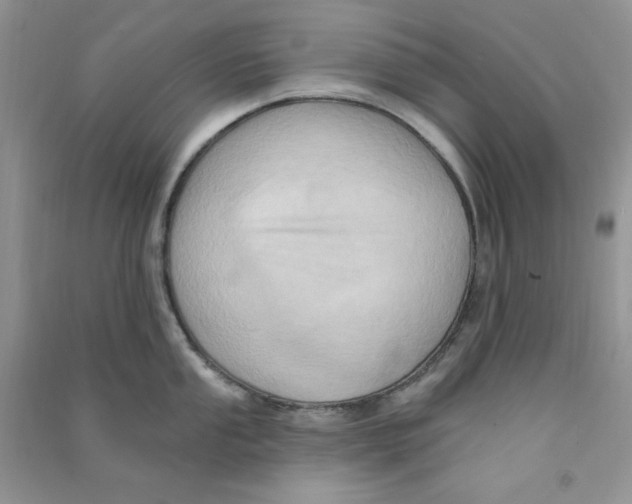 X0000090631053200708141430