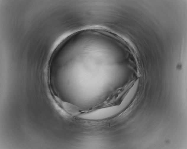 X0000090631054200708141430