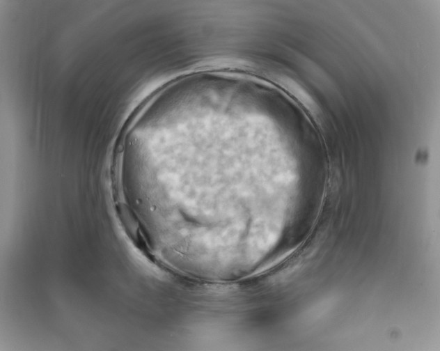 X0000090631055200708141430