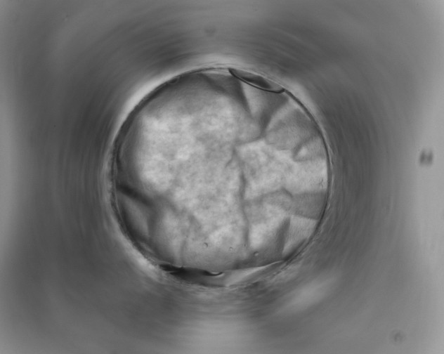 X0000090631056200708141430