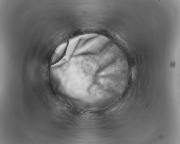 X0000090631059200708141429