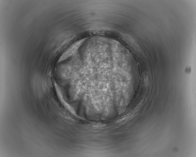 X0000090631060200708141429