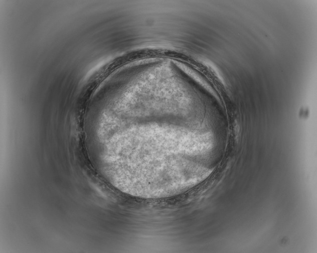 X0000090631064200708141429