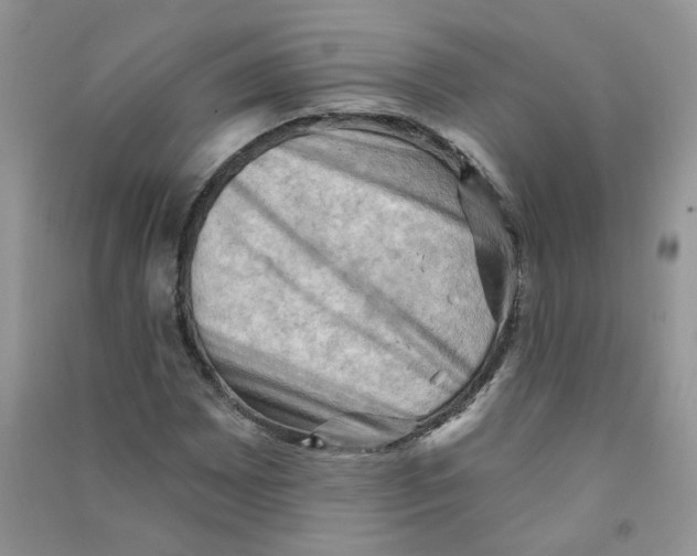 X0000090631065200708141429