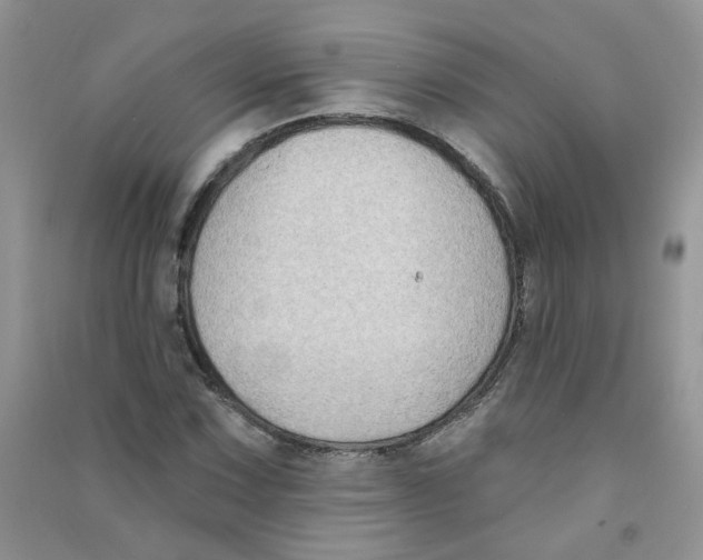 X0000090631067200708141429