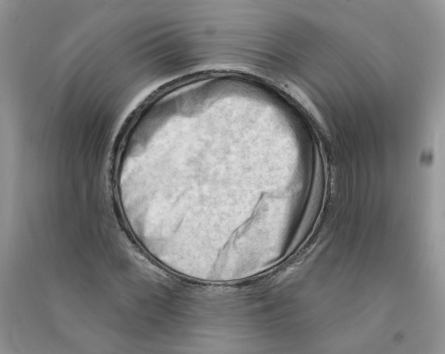 X0000090631068200708141429