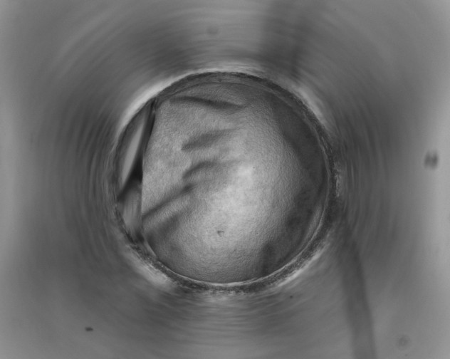 X0000090631069200708141429