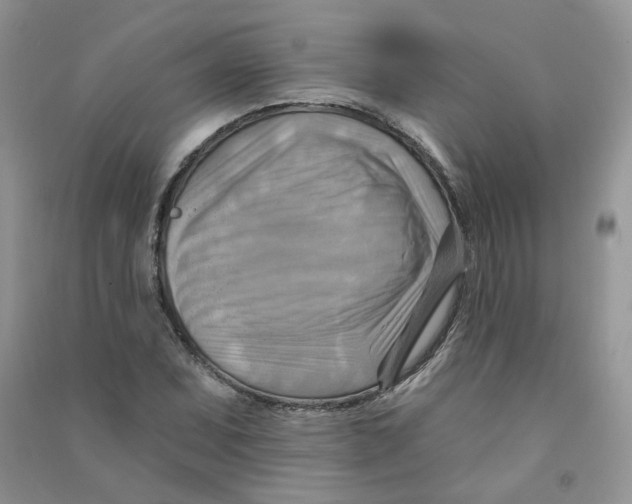 X0000090631071200708141429