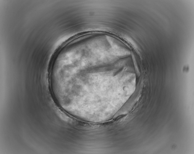 X0000090631072200708141429