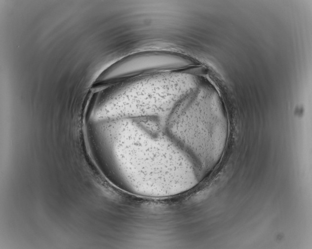 X0000090631073200708141429