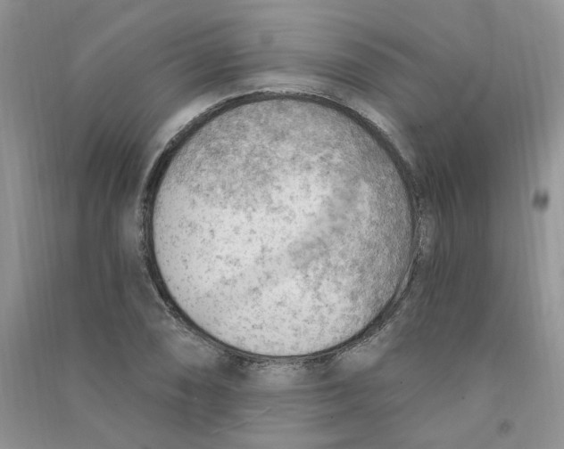 X0000090631074200708141429