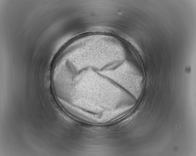 X0000090631075200708141429