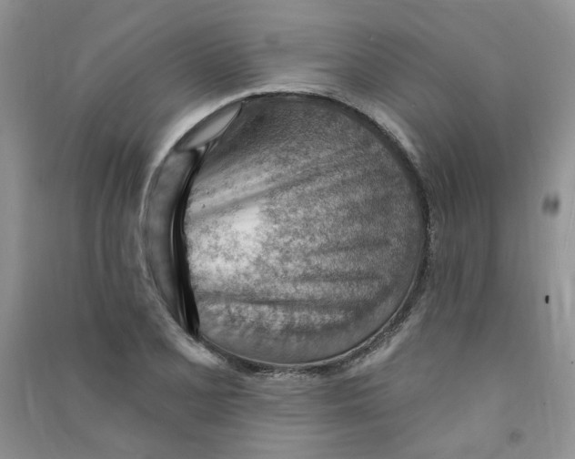 X0000090631077200708141429