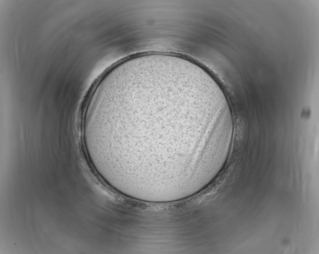 X0000090631078200708141429