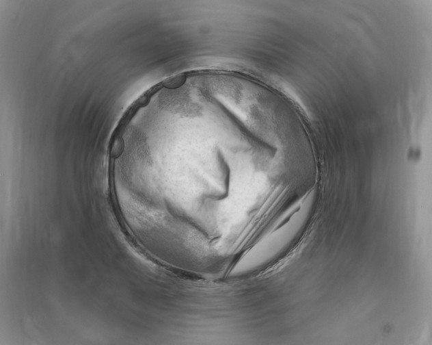 X0000090631079200708141429