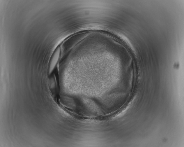 X0000090631081200708141429