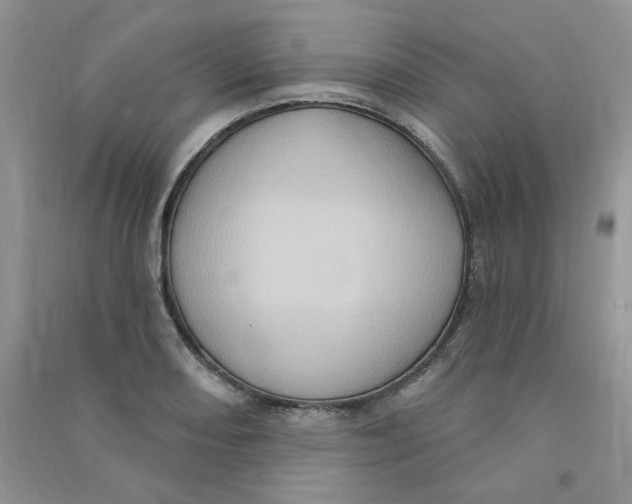 X0000090631082200708141429