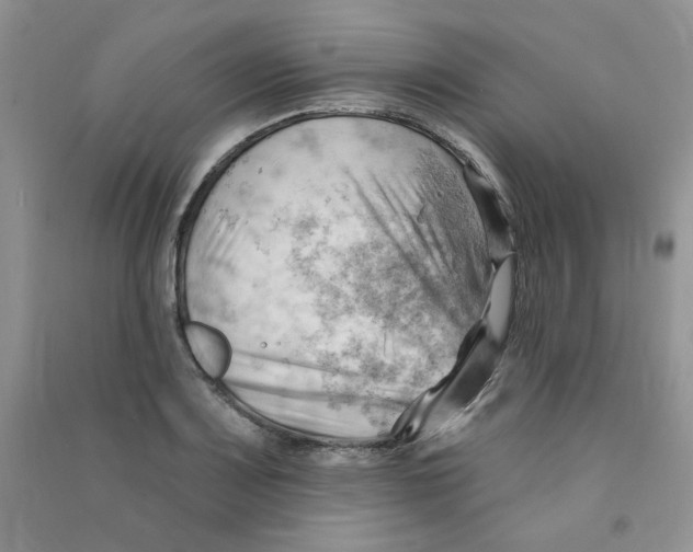X0000090631083200708141429