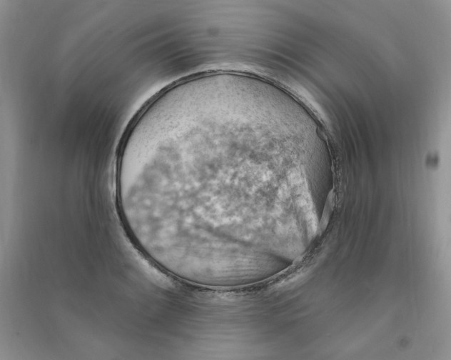 X0000090631084200708141429