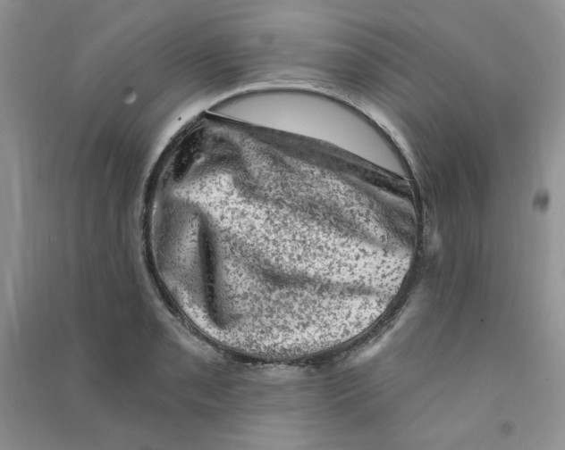 X0000090631085200708141429