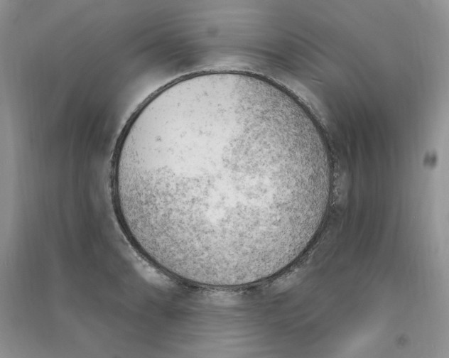 X0000090631086200708141429
