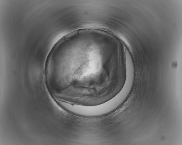 X0000090631087200708141429