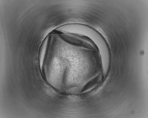 X0000090631089200708141429