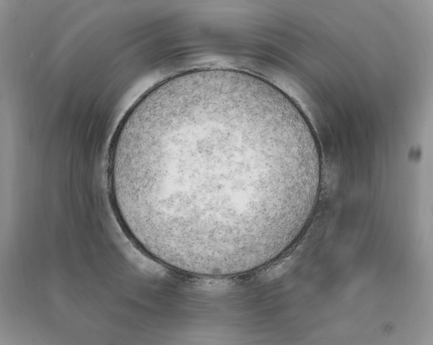 X0000090631090200708141429