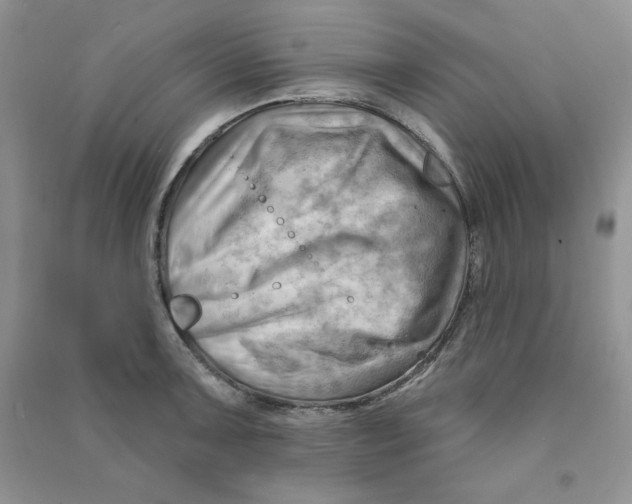 X0000090631091200708141429