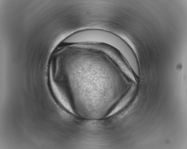 X0000090631093200708141429