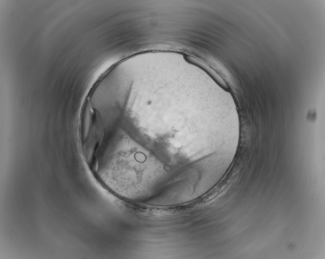 X0000090631095200708141429