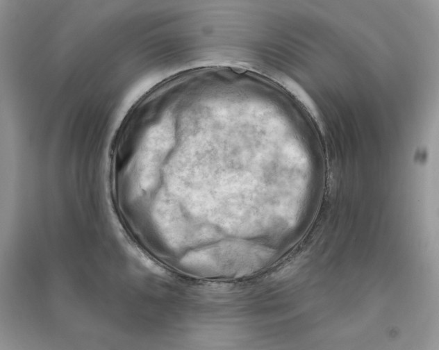 X0000090631096200708141429