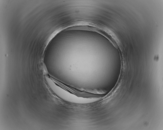 X0000090631097200708141429