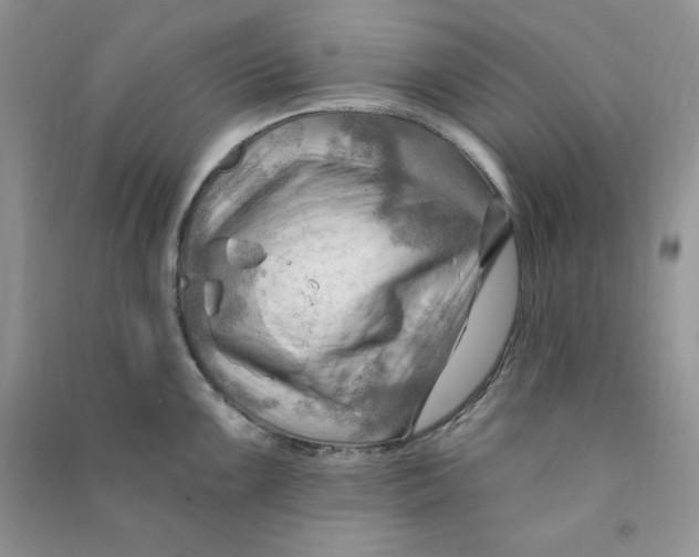 X0000090631099200708141429