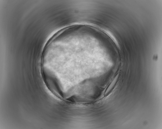 X0000090631100200708141429