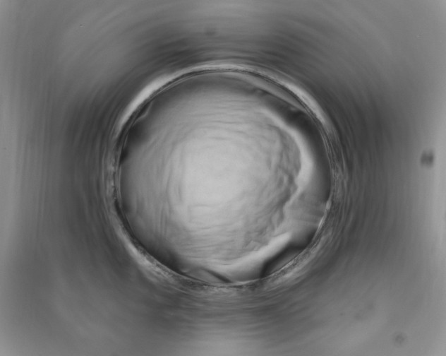 X0000090631101200708141429