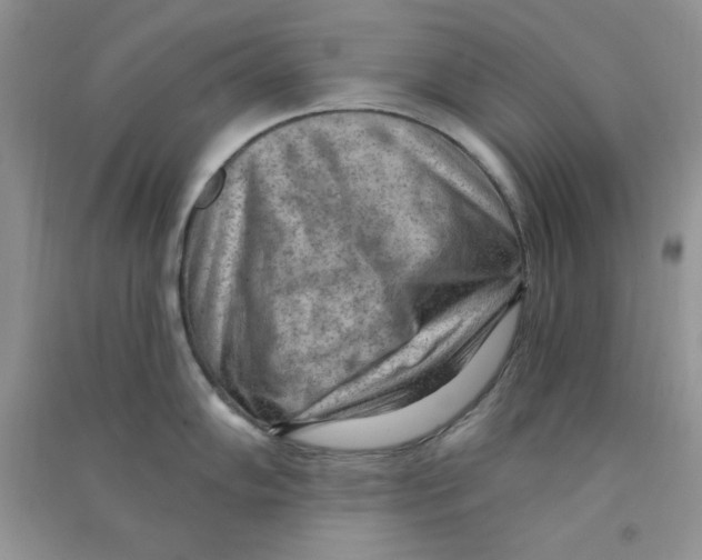 X0000090631102200708141429