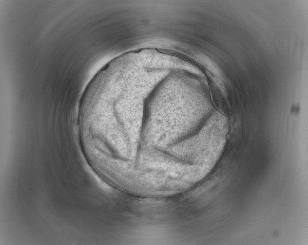 X0000090631103200708141429