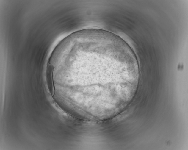 X0000090631104200708141429