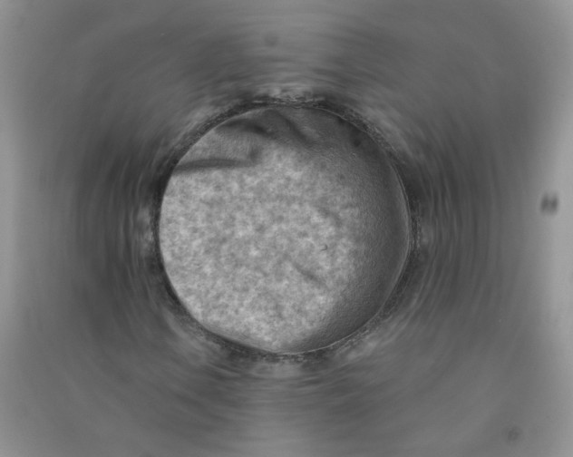 X0000090631106200708141428