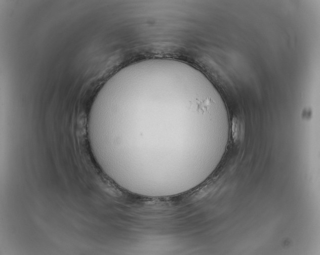 X0000090631107200708141428