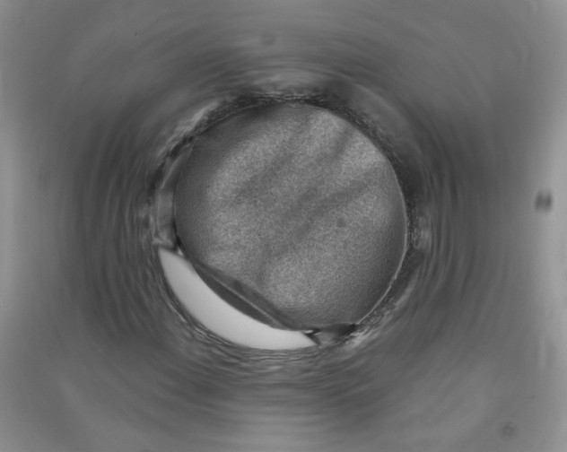 X0000090631108200708141428