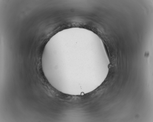 X0000090631109200708141428