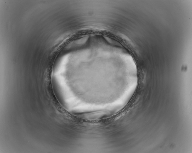 X0000090631110200708141428