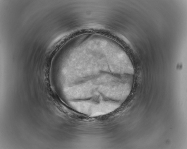 X0000090631112200708141428